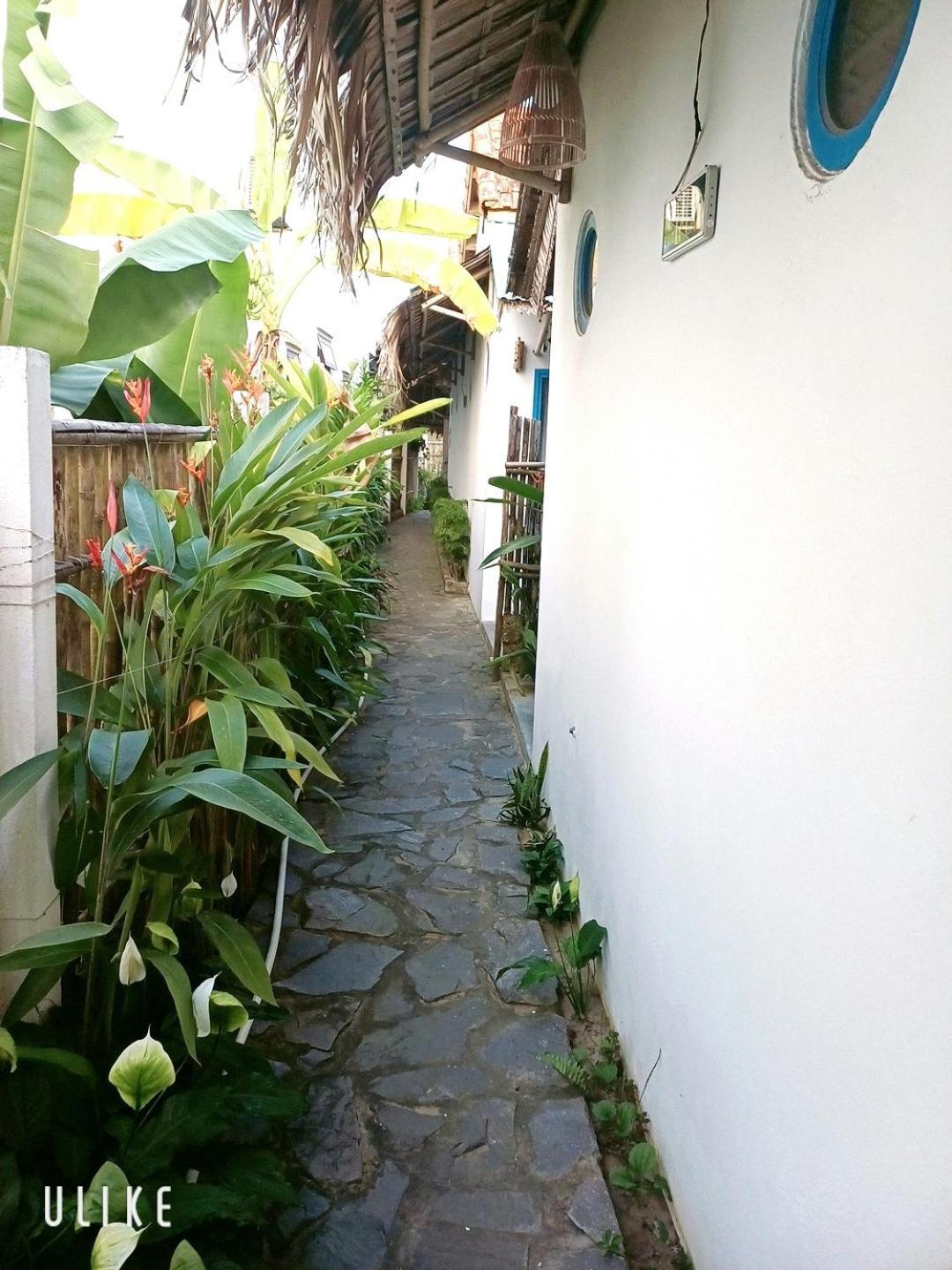 Cashew Tree Bungalow Хой Ан Екстериор снимка